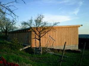 Schuppen